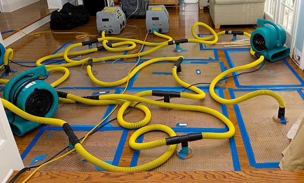 Professional Structural Drying And Dehumidification technician working in Hume, VA